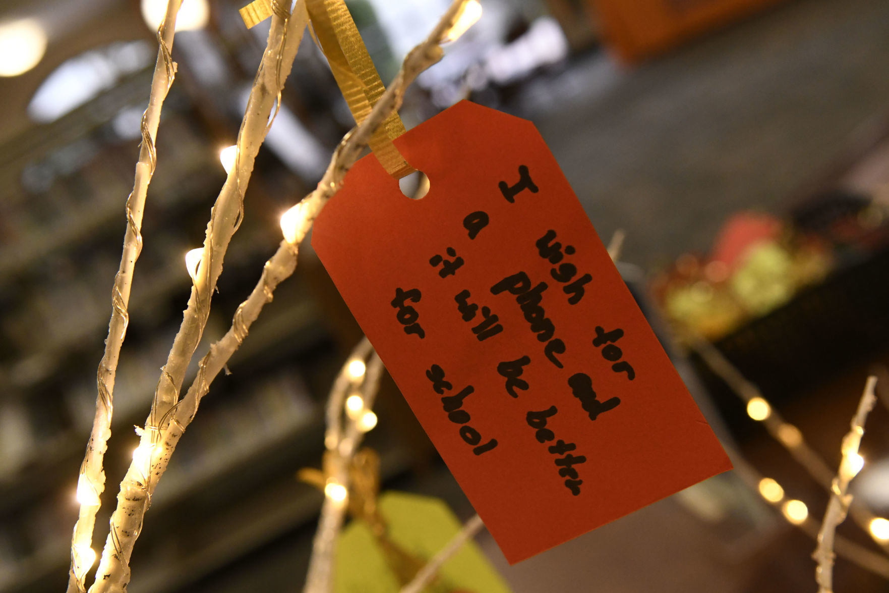 120219 Wishing trees 08.jpg